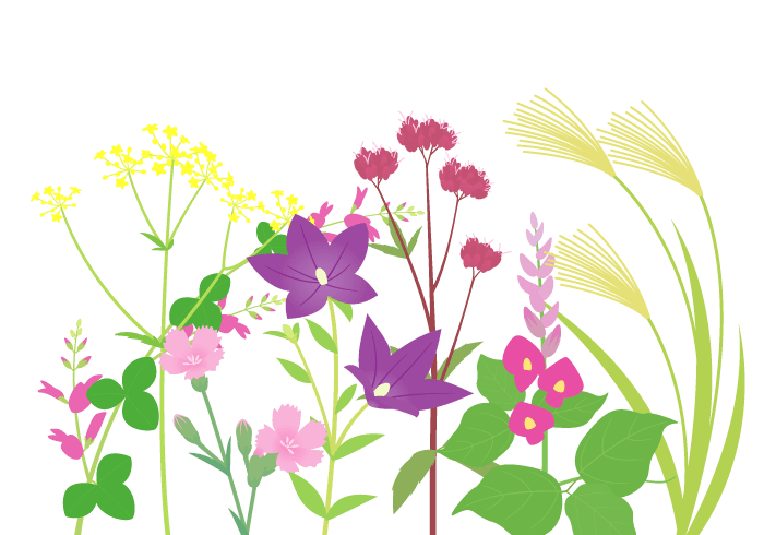 秋の七草