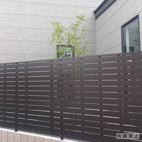 埼玉県熊谷市　シンボルツリー